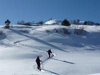 Scialpinistica da Piazzatorre al Torcola Vaga e Forcolino di Torcola domenica 21 febbraio 2010 - FOTOGALLERY